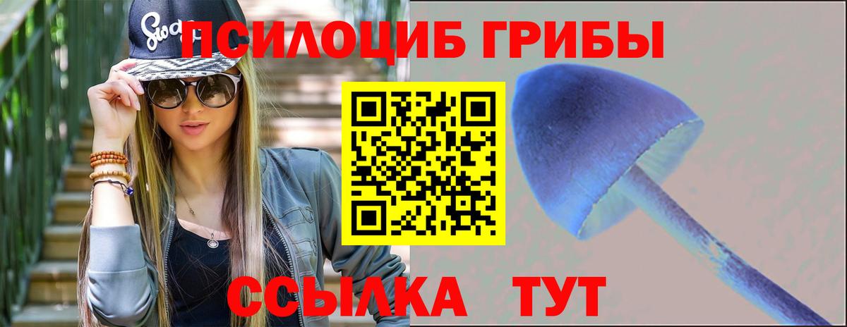 Галлюциногенные грибы Cubensis  как найти наркотики  Сочи  Галлюциногенные грибы Cubensis  Вход с VPN 